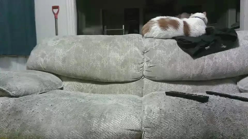 Cam4 batmike is Freechat batmike — Freechat on Cam4