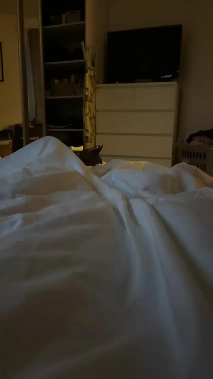 Bigslutcock — Freechat on Cam4