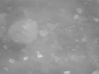 CamSoda voyeurcam-casa-salsa-pool-1 is Freechat voyeurcam-casa-salsa-pool-1 — voyeurcam-casa-salsa-l-1 Public Chat Channel