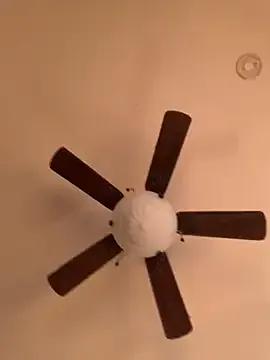 StripChat holyeroticss is Freechat holyeroticss — Bf BJ video for 555