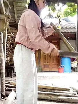 lmc-zz — Ngy mi an lnh