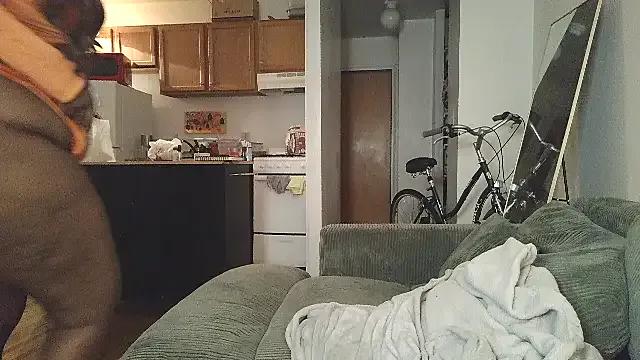 SiminFox on StripChat 